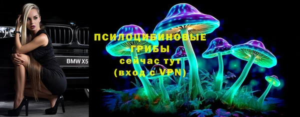 шишки Ельня