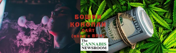 прущие грибы Заводоуковск