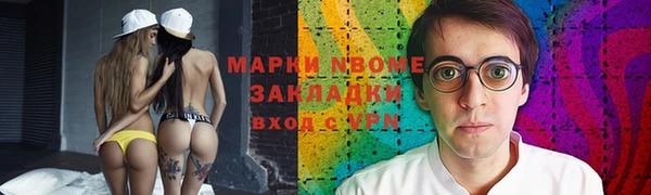 шишки Ельня