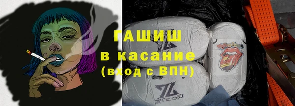 прущие грибы Заводоуковск