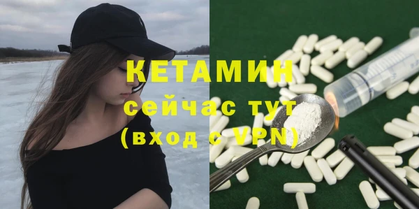 шишки Ельня