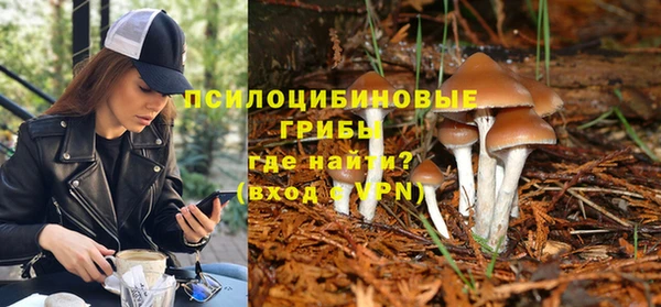 прущие грибы Заводоуковск