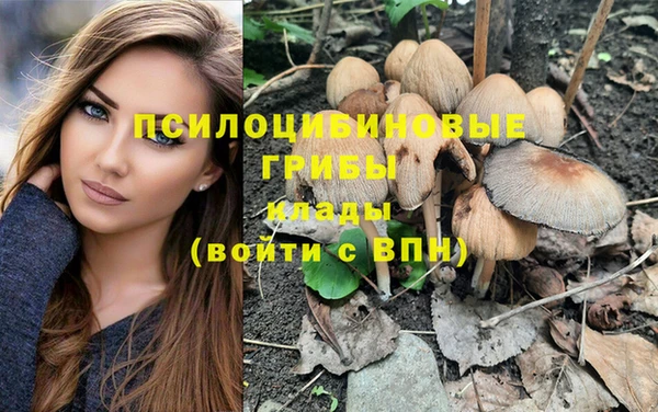 мескалин Заволжье