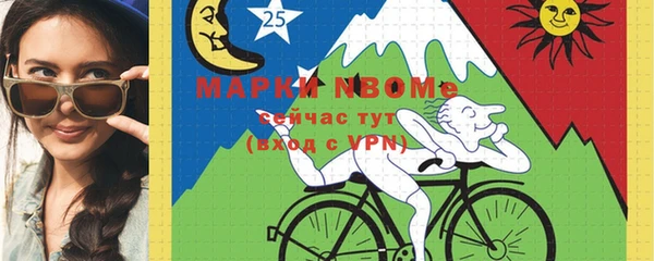 шишки Ельня