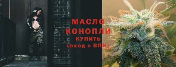 прущие грибы Заводоуковск