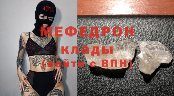 шишки Ельня