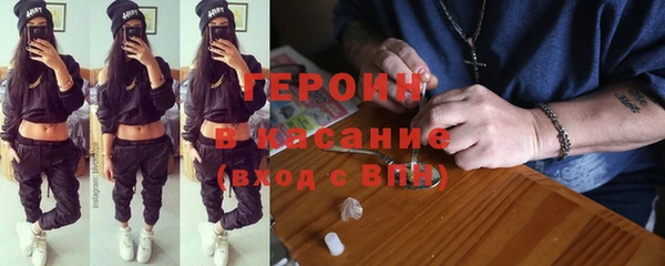 шишки Ельня