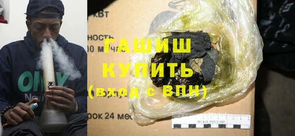 шишки Ельня