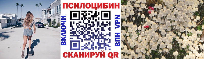 Галлюциногенные грибы Magic Shrooms Евпатория